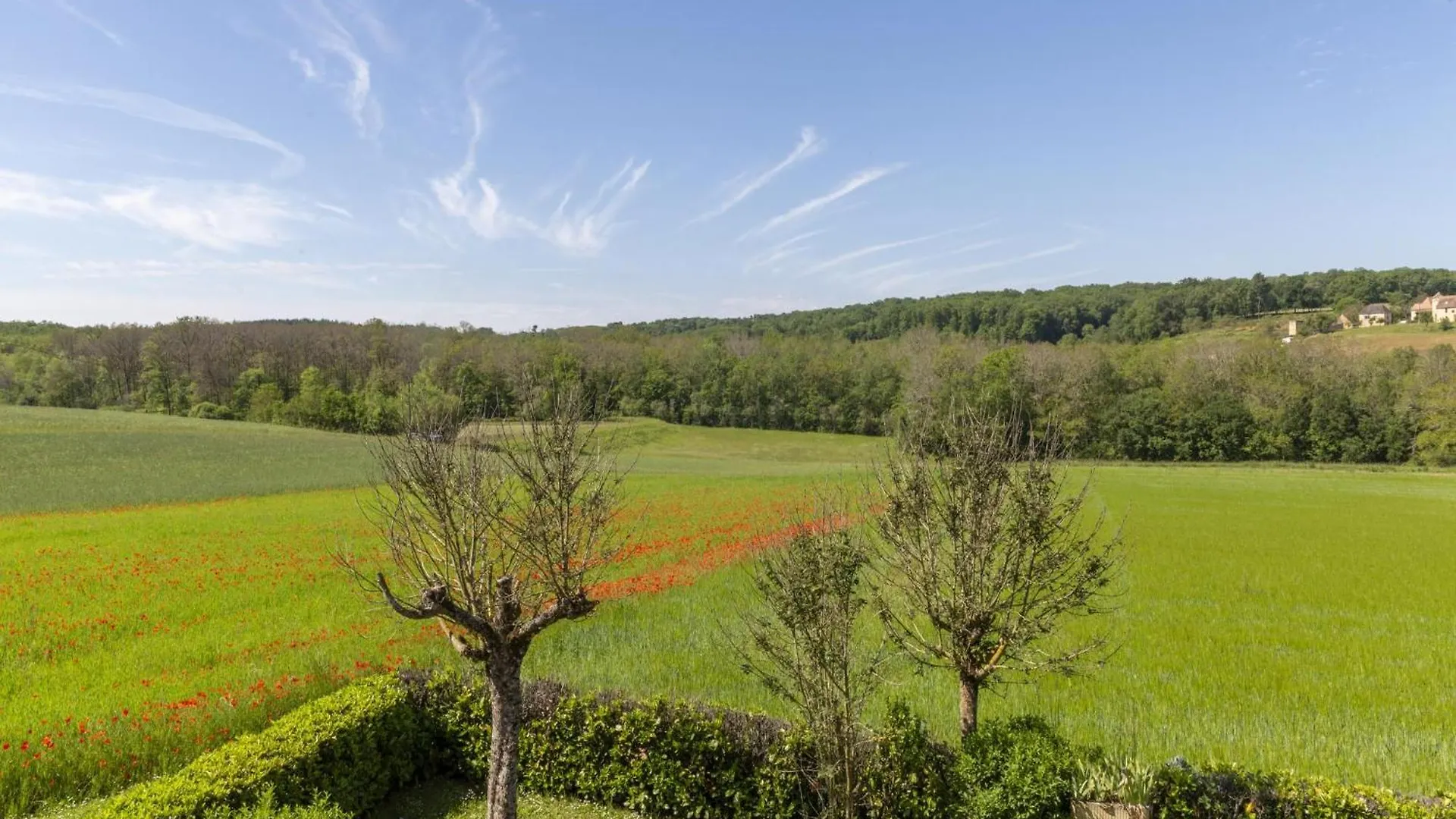 Lavende Villa Degagnac